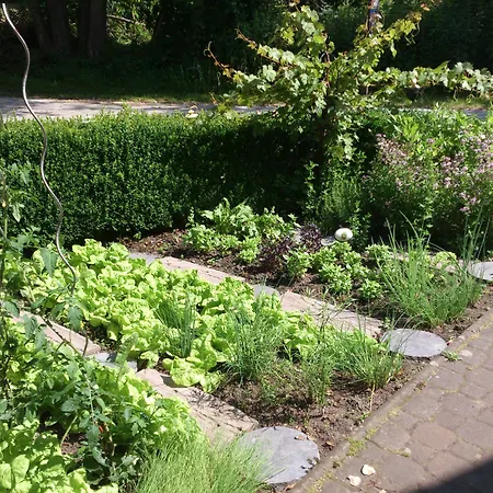 Mueggenburg شليبتسيج